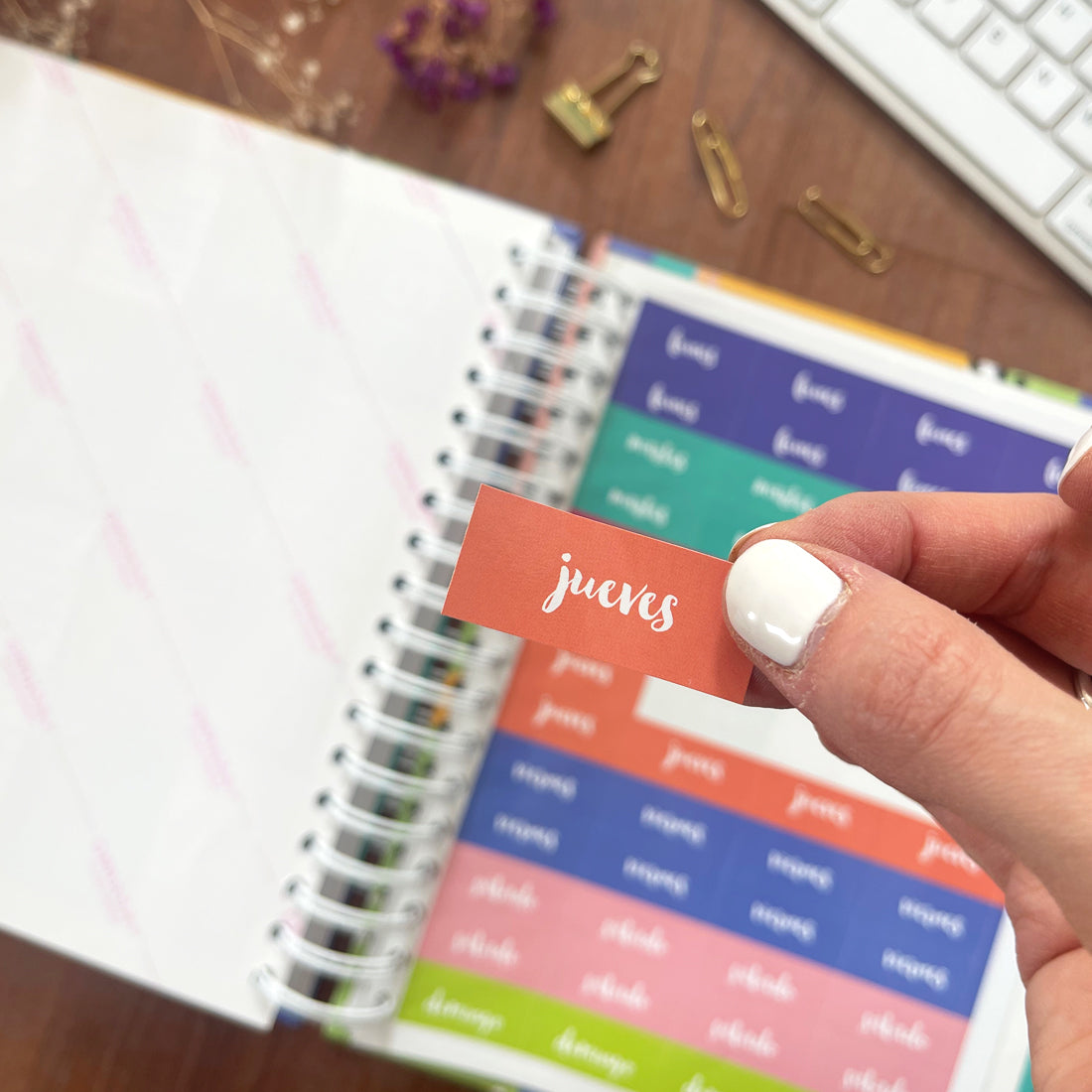 Agenda/Libreta Plumas